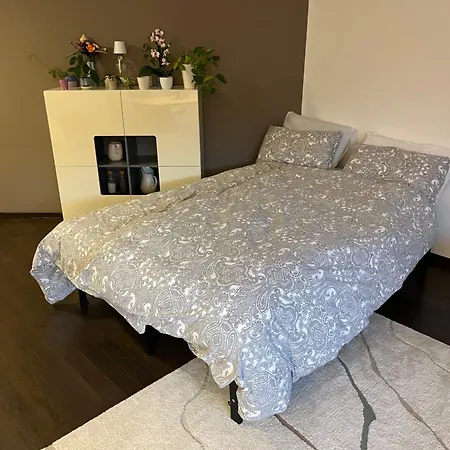 Apartment City-apartment With Private Rooftop Terrace *