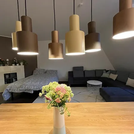 City-apartment With Private Rooftop Terrace Apartment