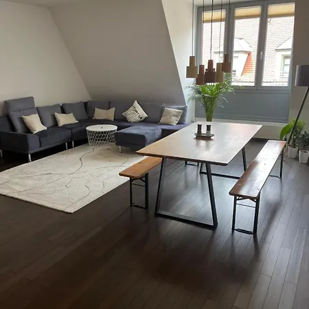 Apartment City-apartment With Private Rooftop Terrace *