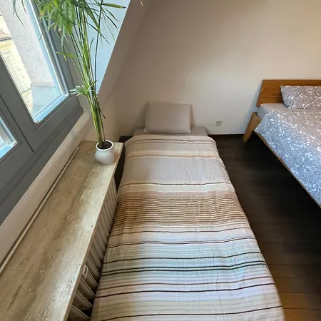 City-apartment With Private Rooftop Terrace Appartement *